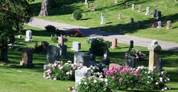 Amos Family Funeral Home